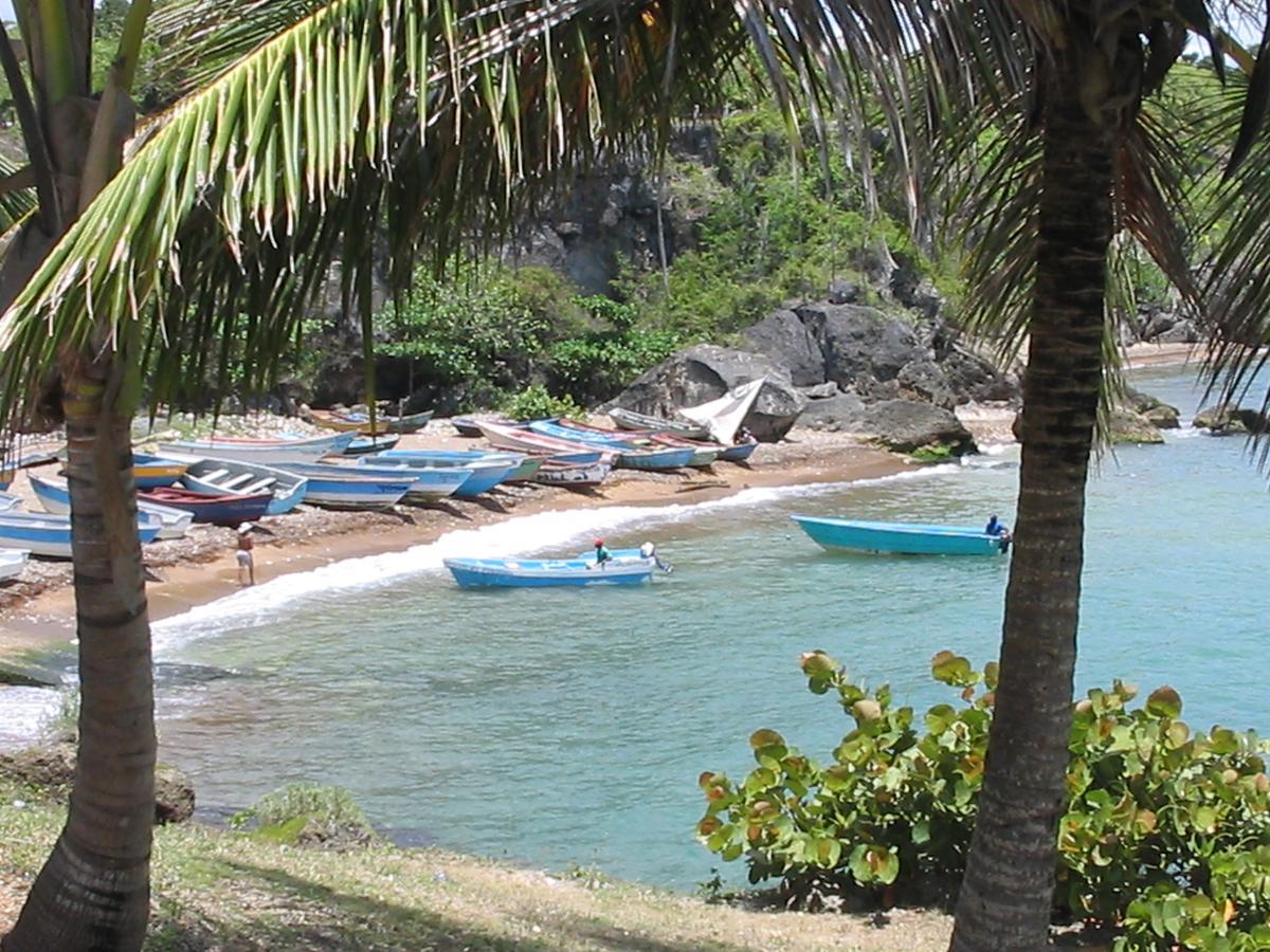 Hotel El Viejo Pirata Boca de Yuma Bagian luar foto